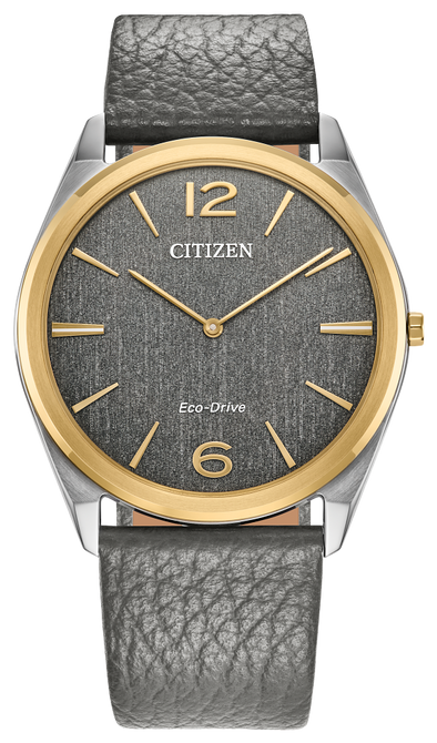 Citizen Suratto Eco-Drive 521-391