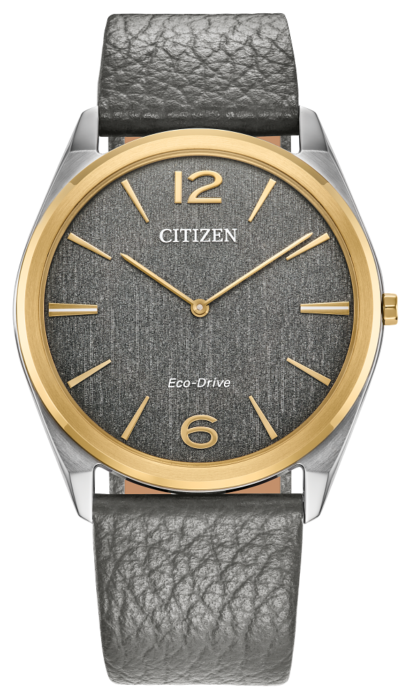 Citizen Suratto Eco-Drive 521-391