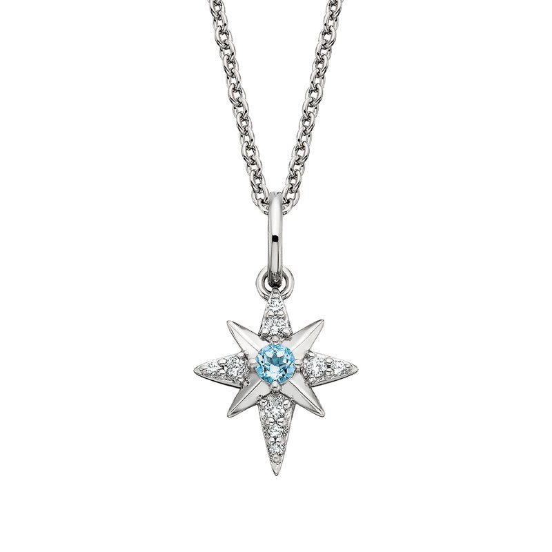 North Star Necklace 653-562