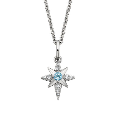 North Star Necklace 653-562
