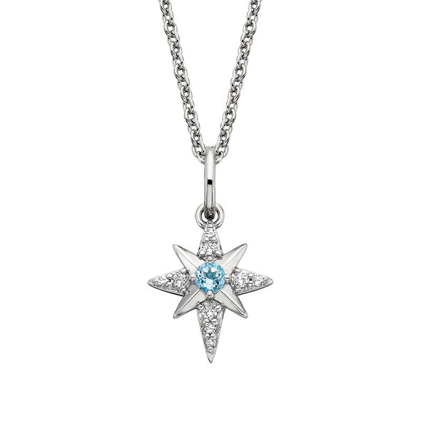 North Star Necklace 653-562