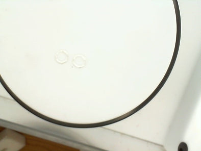Lady's White Sterling Silver S
