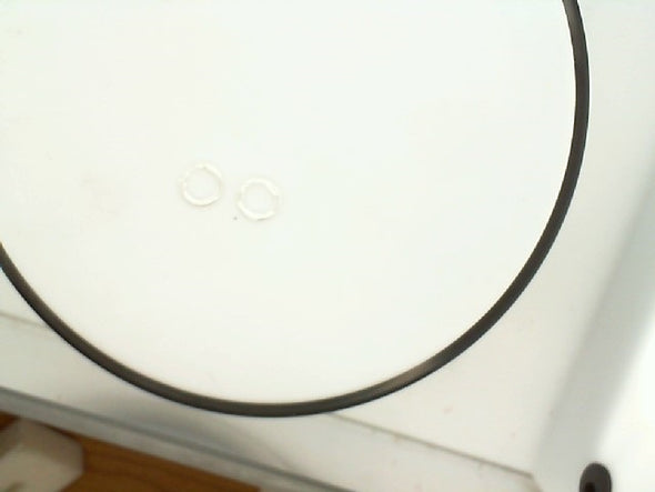 Lady's White Sterling Silver S