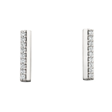 Stunning Vertical Bar Earrings 150-1025